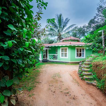 Nature Routes Cottage Munnar Zewnętrze zdjęcie