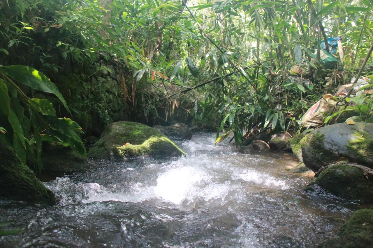 Nature Routes Cottage Munnar Zewnętrze zdjęcie