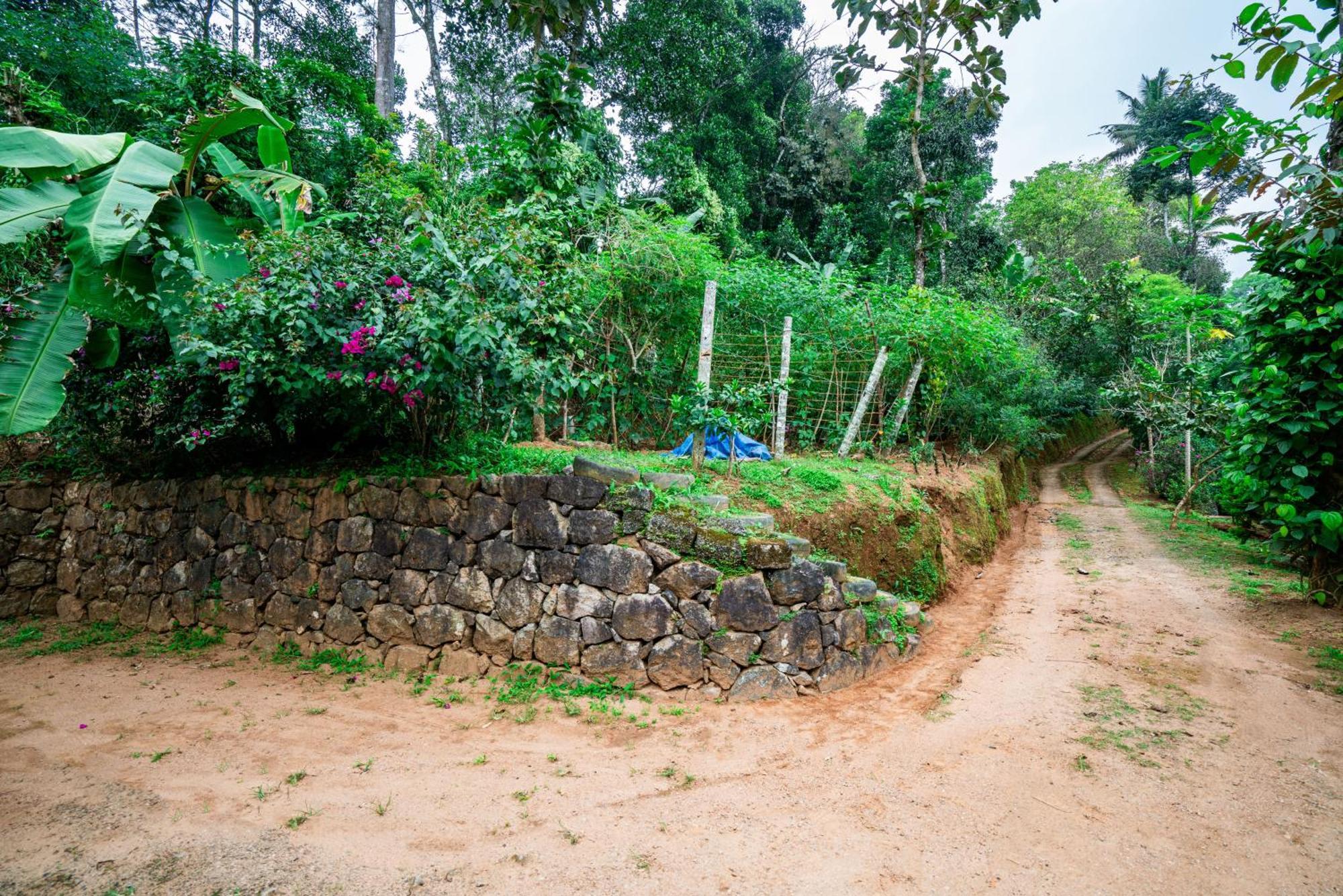 Nature Routes Cottage Munnar Zewnętrze zdjęcie