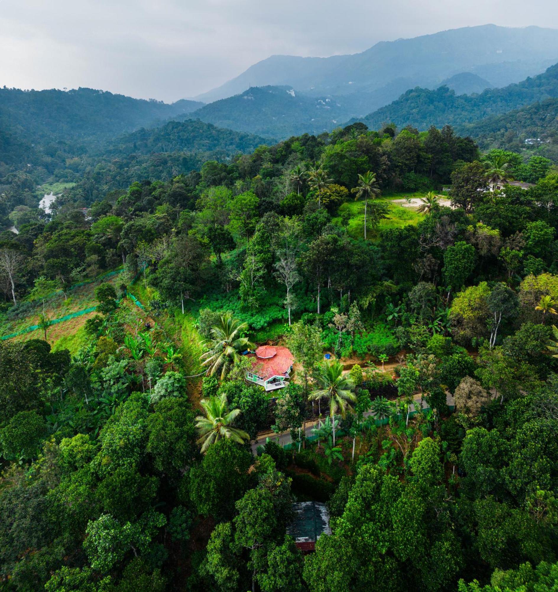 Nature Routes Cottage Munnar Zewnętrze zdjęcie